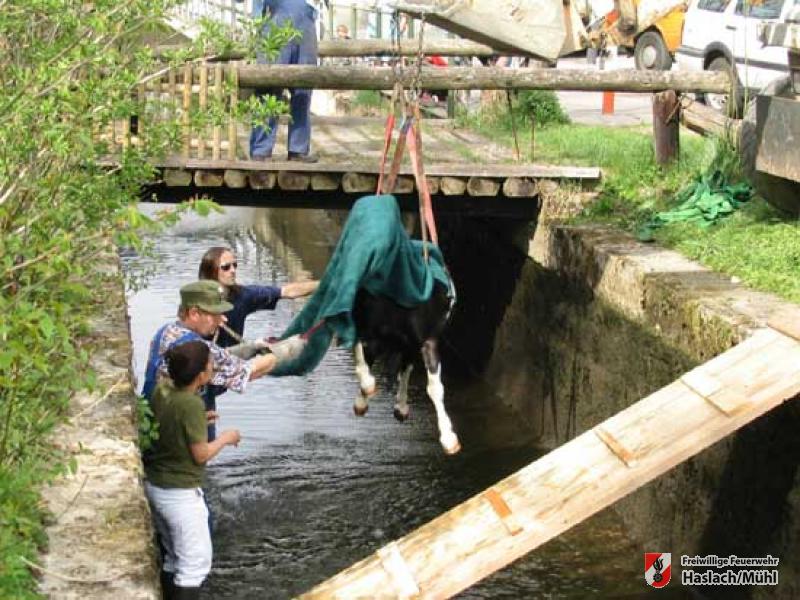 Tierrettung Lanitz