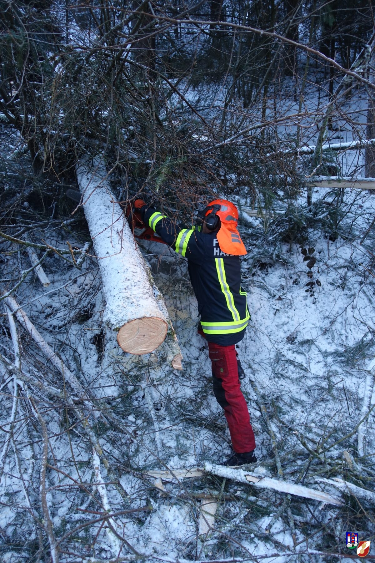 B38 durch mehrere Bäume blockiert