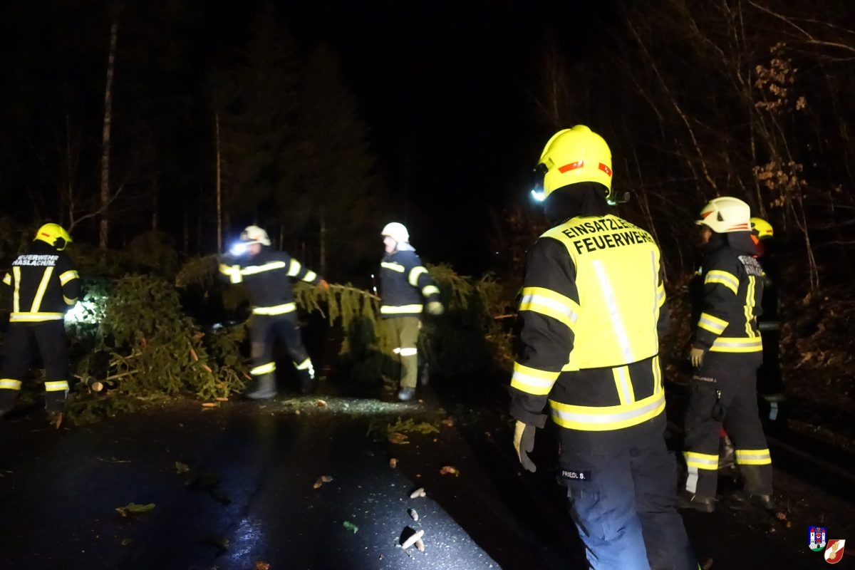 Bäume blockieren Landesstraße und Brandmeldealarm