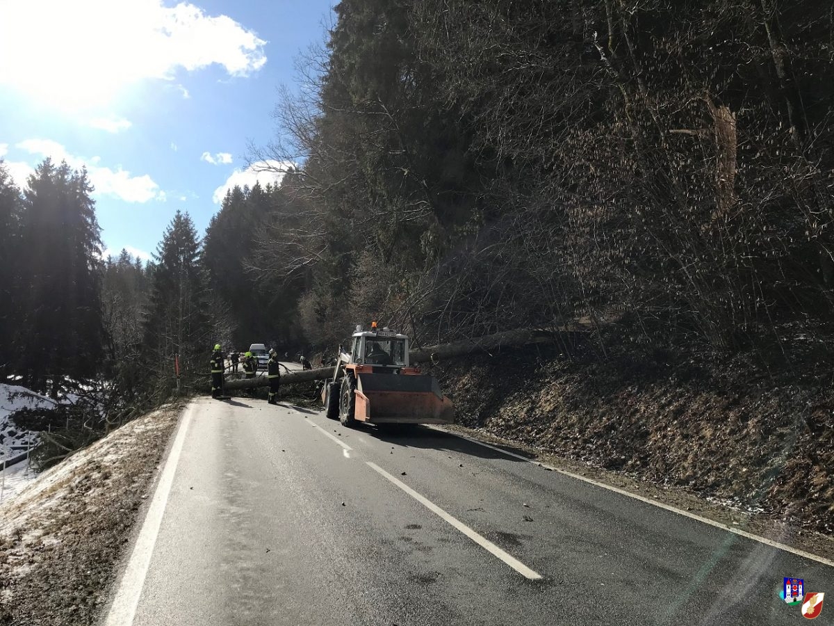 Straßenblockade durch abgerissenen Baum
