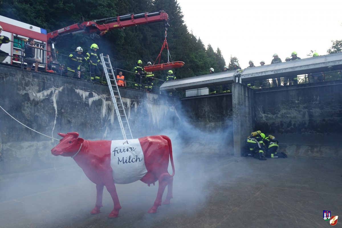 Großtierrettung aus Kläranlage