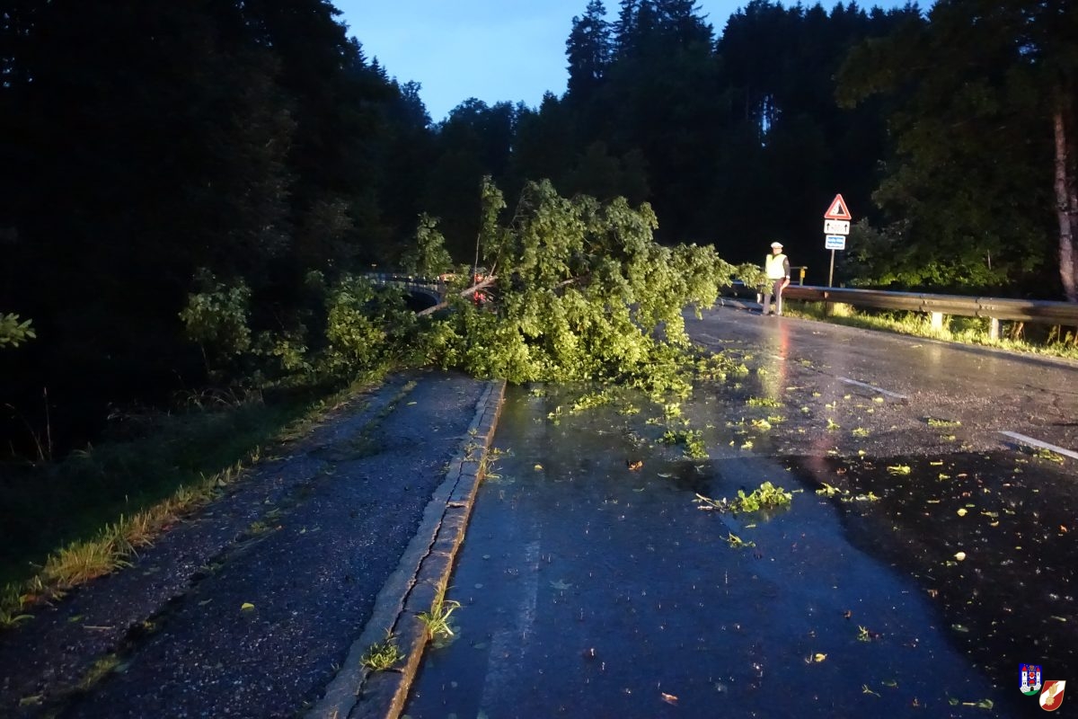 Baum blockiert Straße