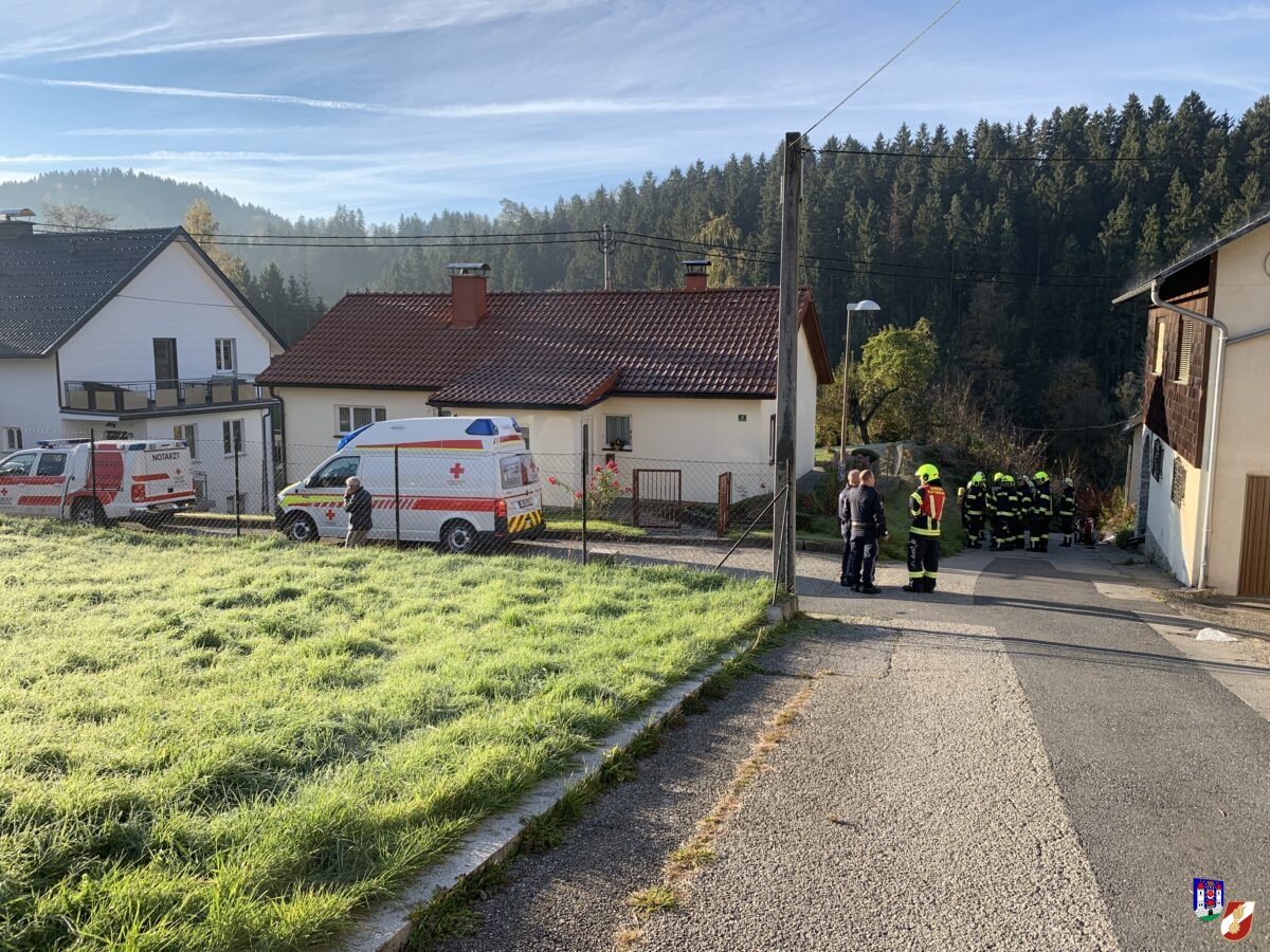 Personenrettung nach Kohlenmonoxid-Unfall