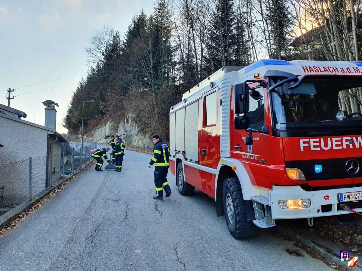 Ölspur B38, Felberau, Erlenweg