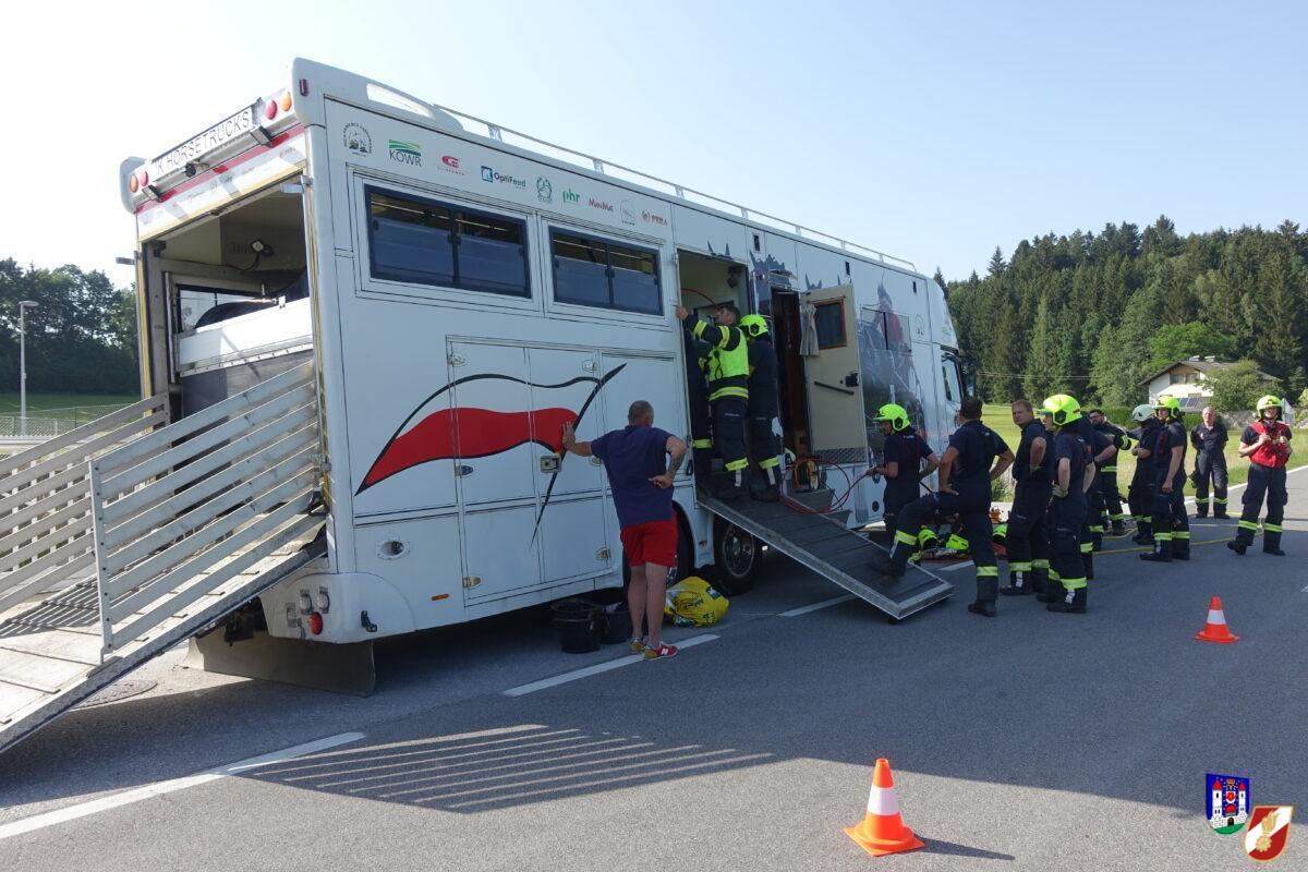 Eingeklemmtes Turnierpferd unverletzt befreit