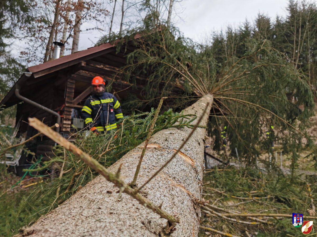 Sturmtief Diethelm – Baum auf Gartenhütte