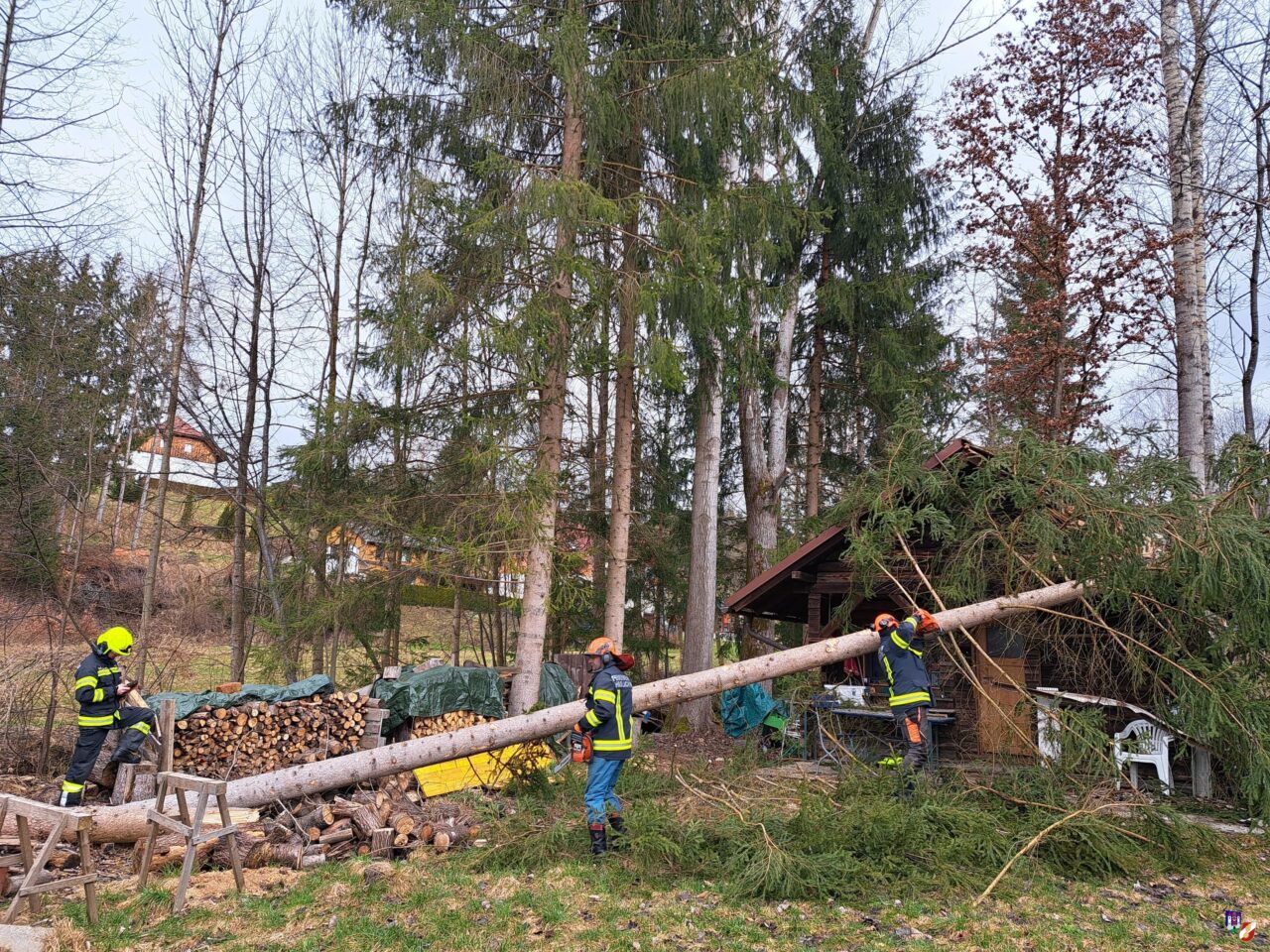 Sturmtief Diethelm – Baum auf Gartenhütte
