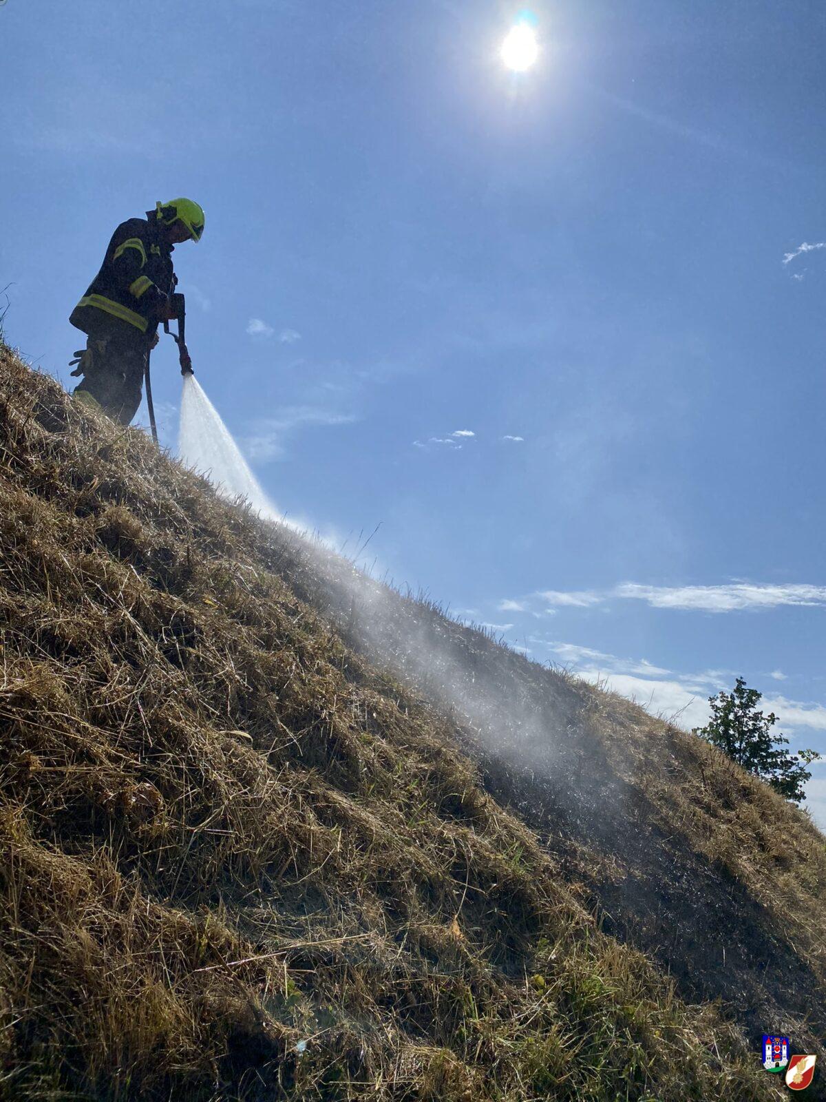 Böschungsbrand rasch gelöscht