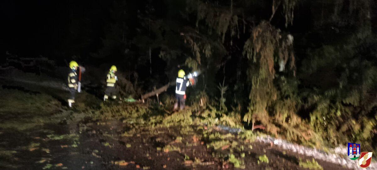 Wenn du glaubst es kommt nichts mehr, dann fliegt auch schon ein Baum daher