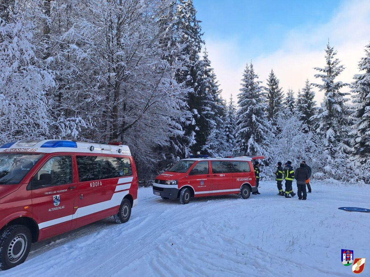 Alle wieder zu Hause – Kühe auf Abenteuertrip